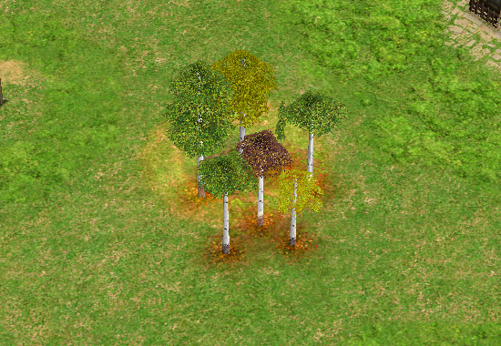 Девственный лес